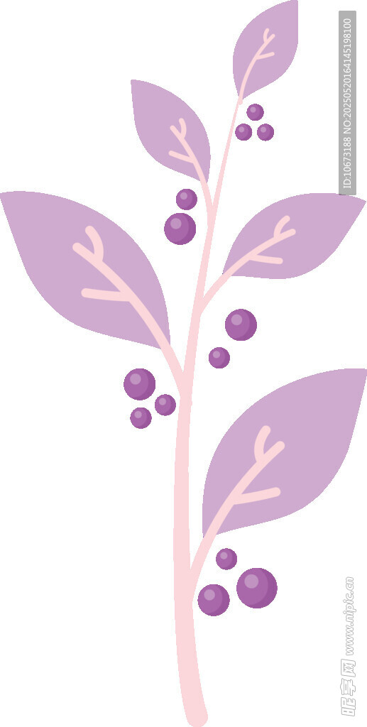 紫色花卉枝叶插画图案