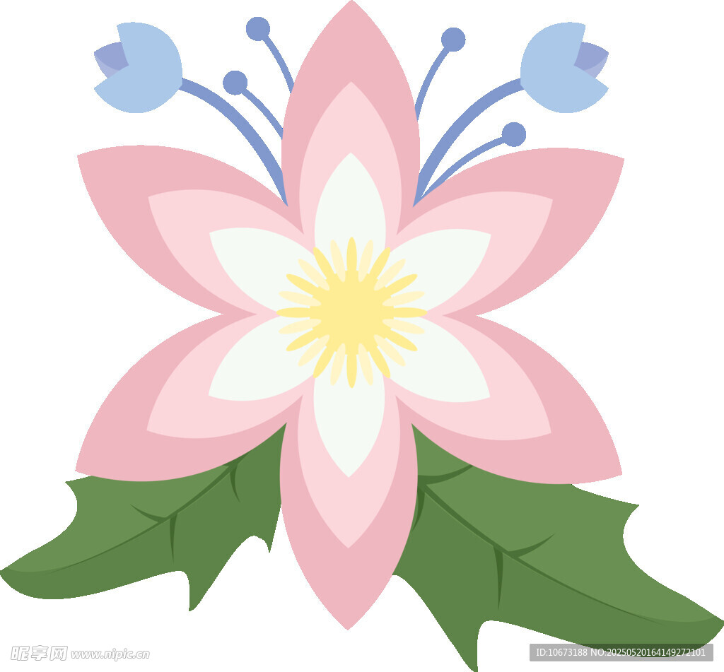 粉色花朵插画
