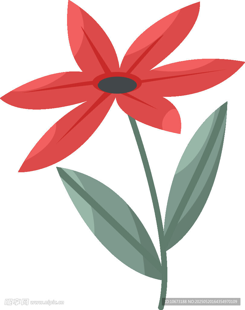 红色花朵插画