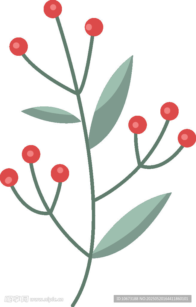 红色浆果绿叶植物插画