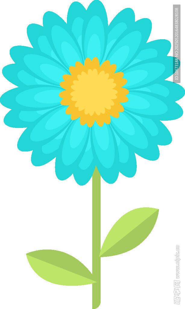 蓝色雏菊插画