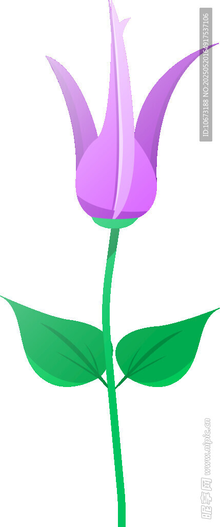 紫色花朵插画