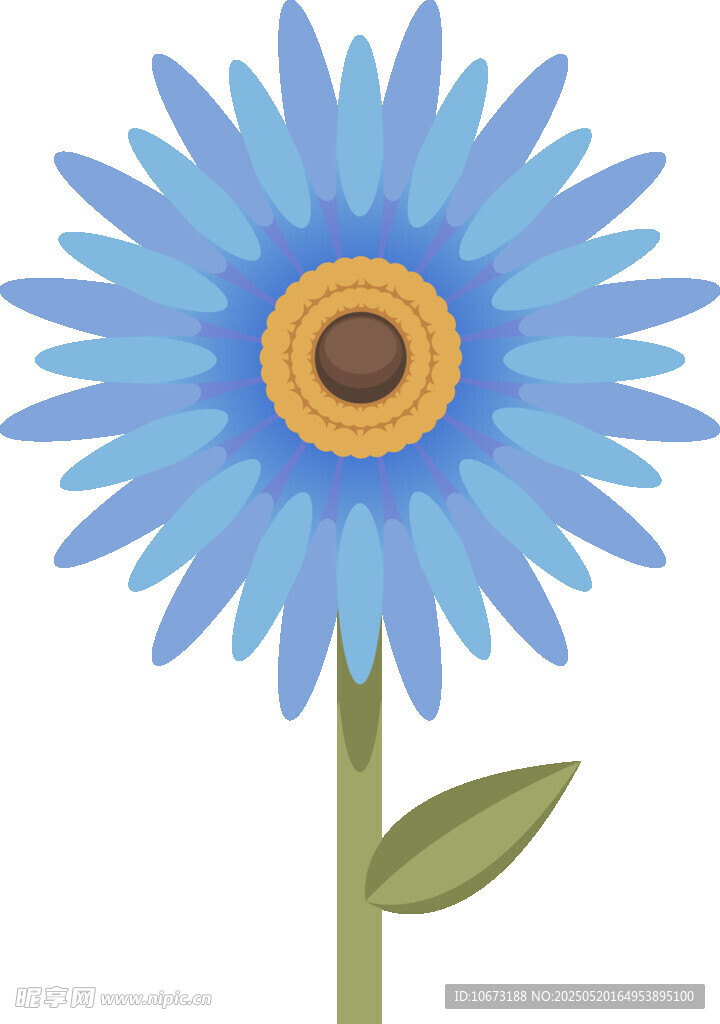 蓝色雏菊插画
