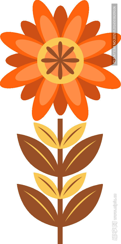 橙色花朵植物插画