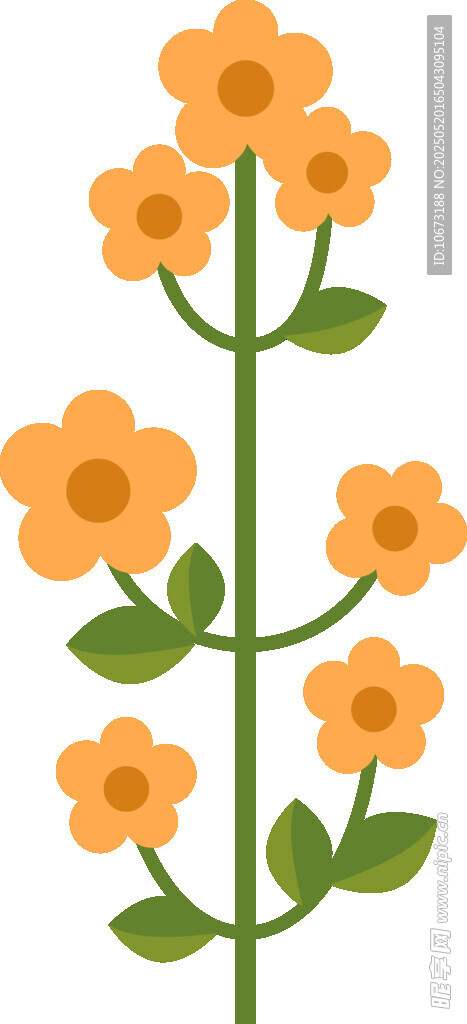 橙色小花插画