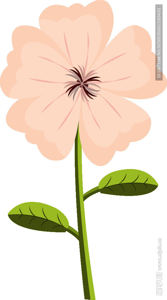 粉色花朵插画