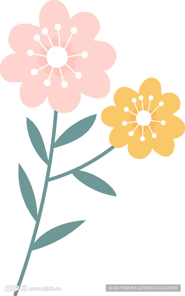 两朵小花插画