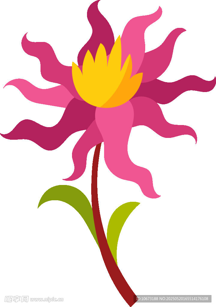 粉色花朵插画