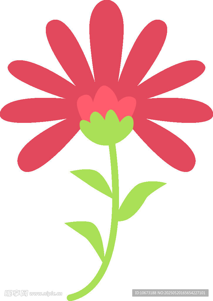 红色花朵插画