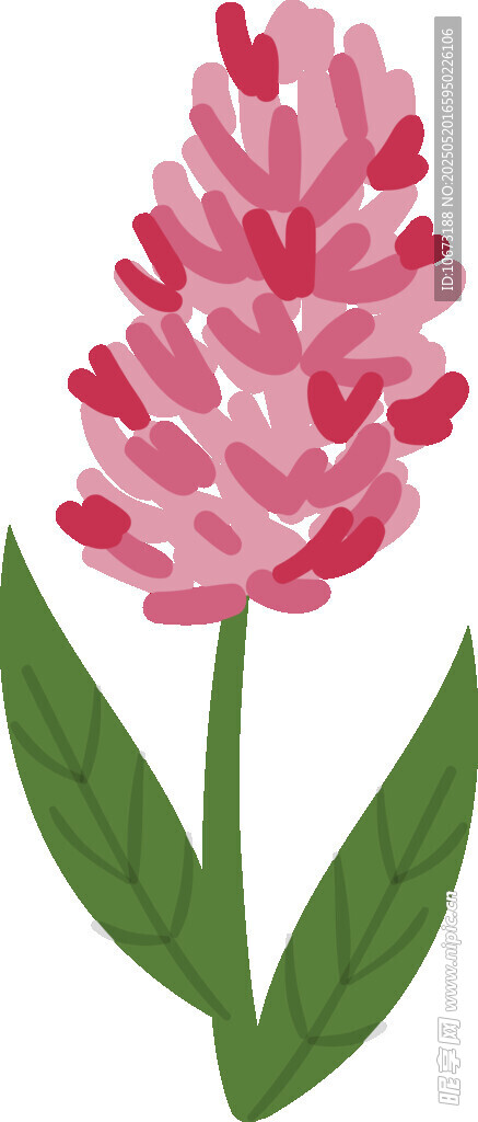 粉色穗状花朵插画
