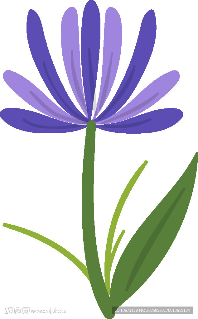 紫色花朵插画