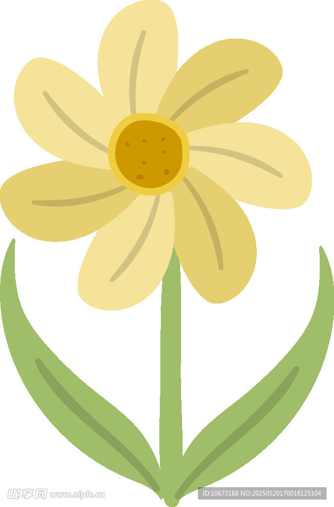 黄色小花插画
