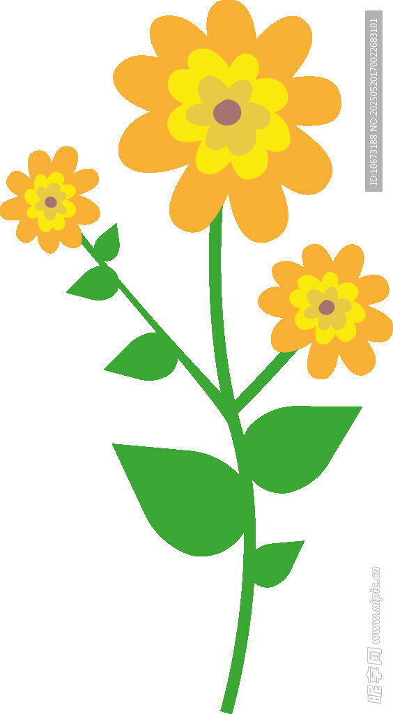 黄色小花插画