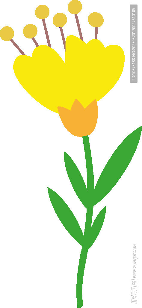 黄色花朵插画