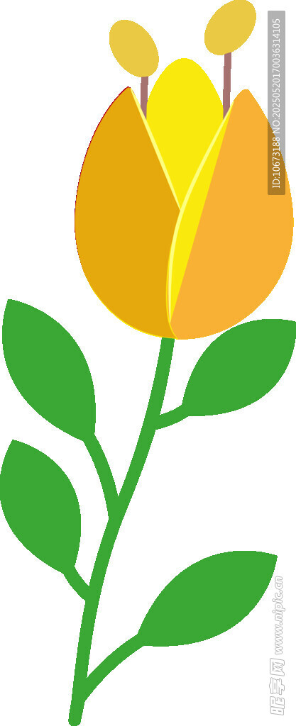 黄色花朵插画