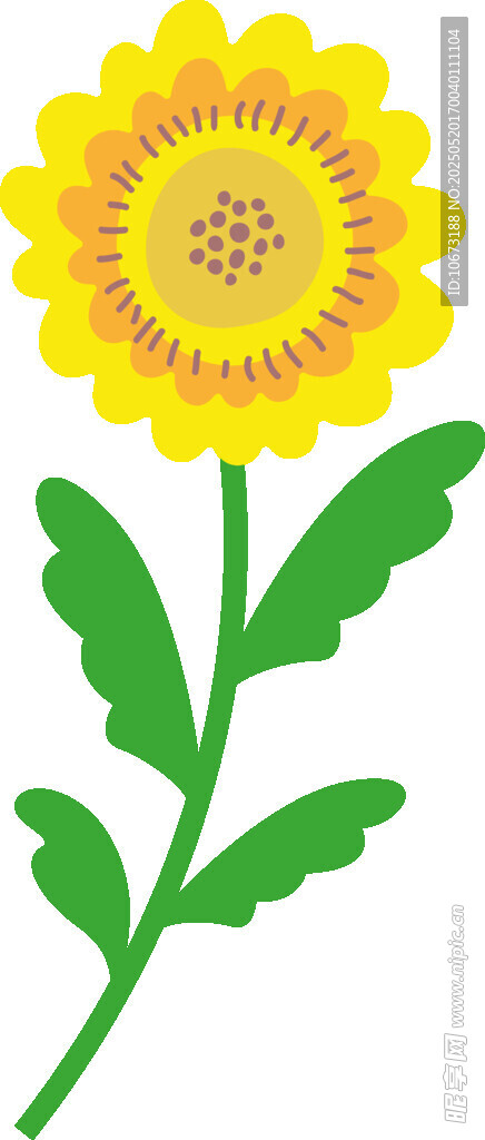 黄色花朵插画