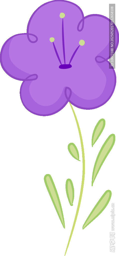 紫色小花插画