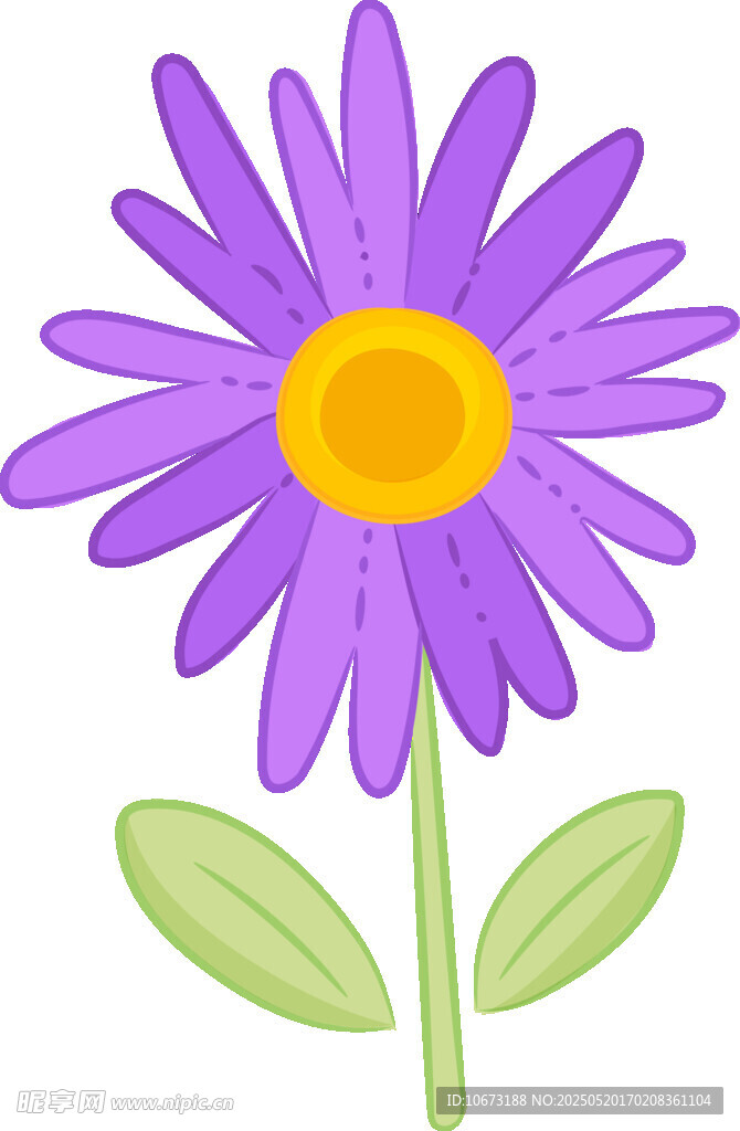 紫色雏菊插画