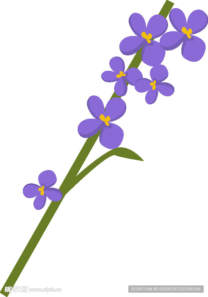 紫色小花枝
