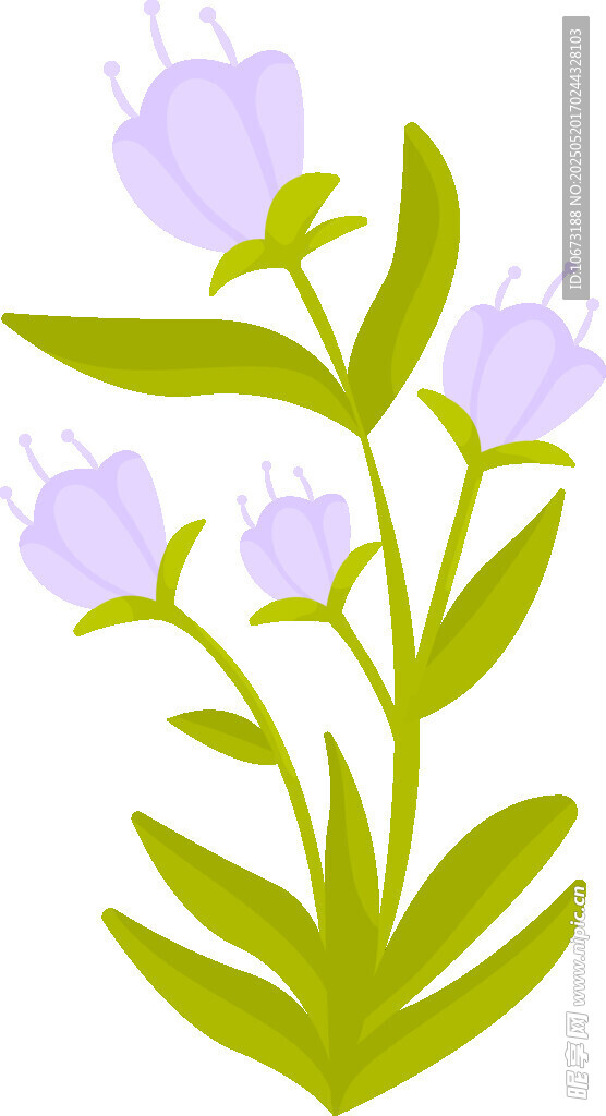 紫色小花植物插画