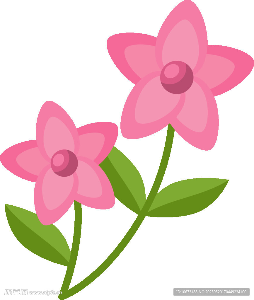 两朵粉色小花插画