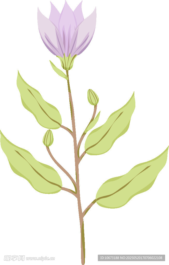 紫色花朵与绿叶插画
