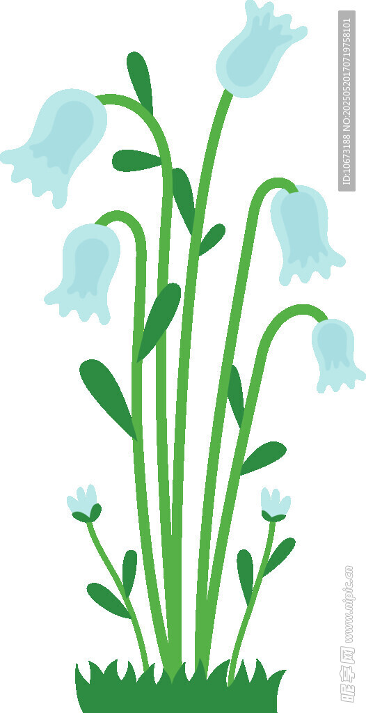 铃兰花插画 清新自然花卉