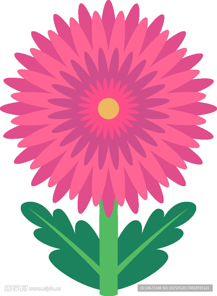 粉色雏菊插画