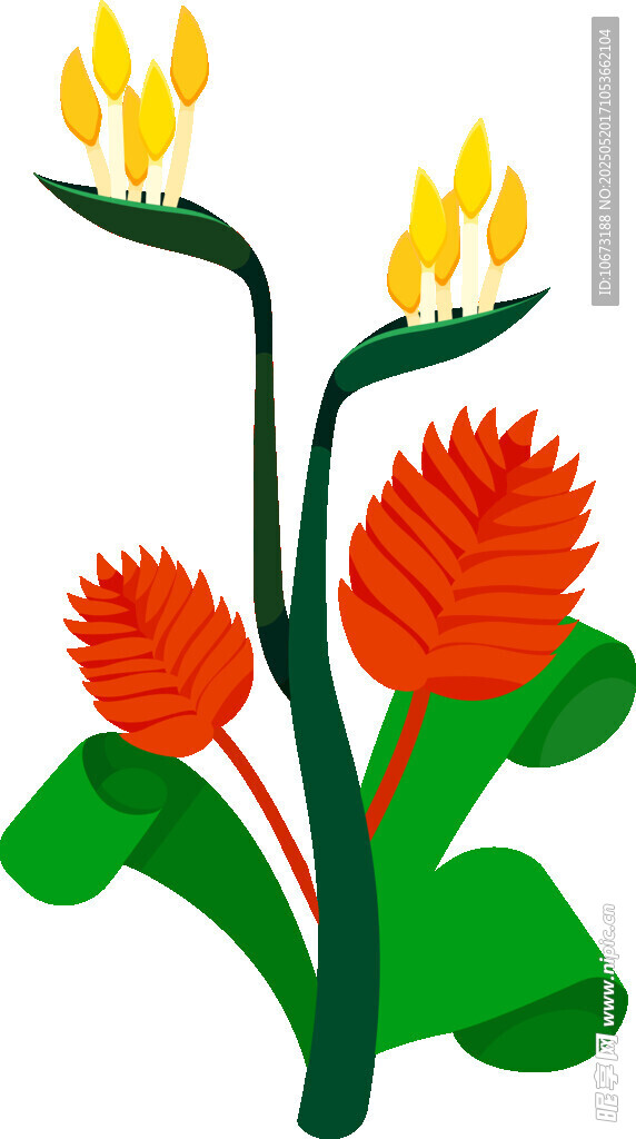 鲜艳花朵插画