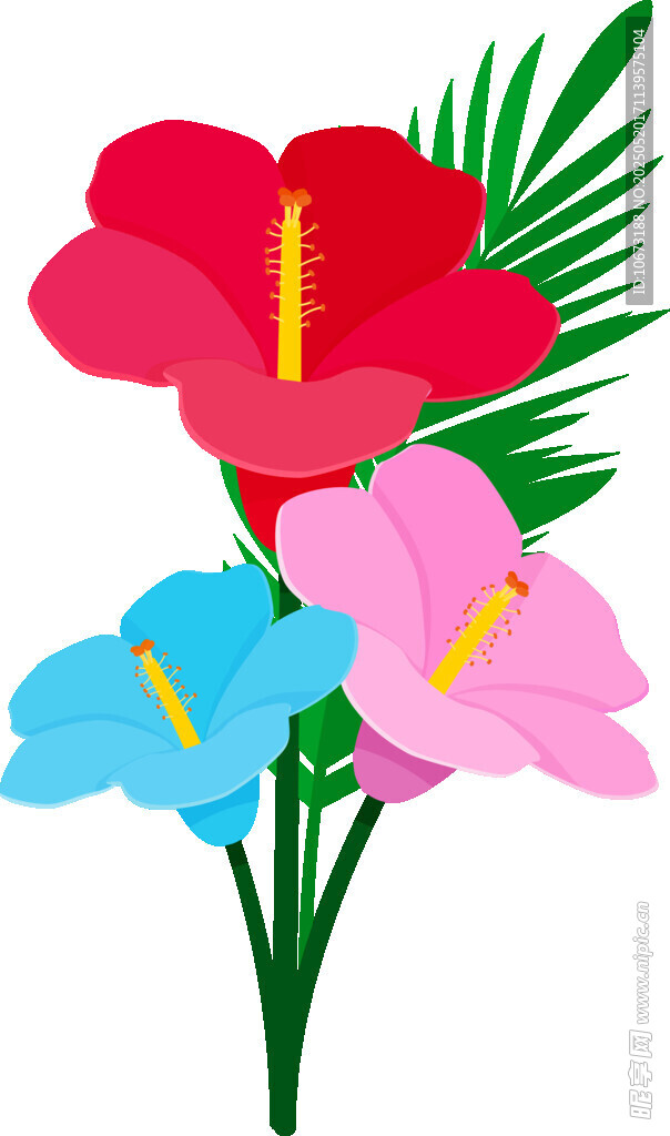 多彩花卉插画