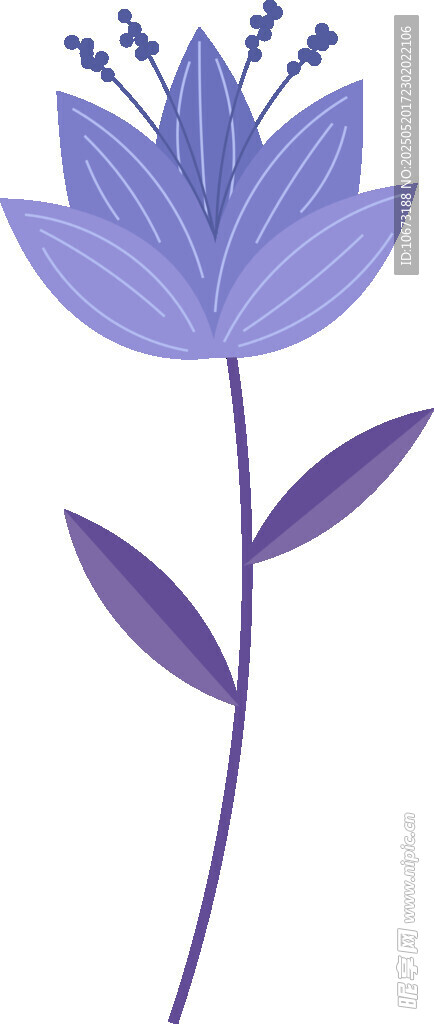 紫色花朵插画