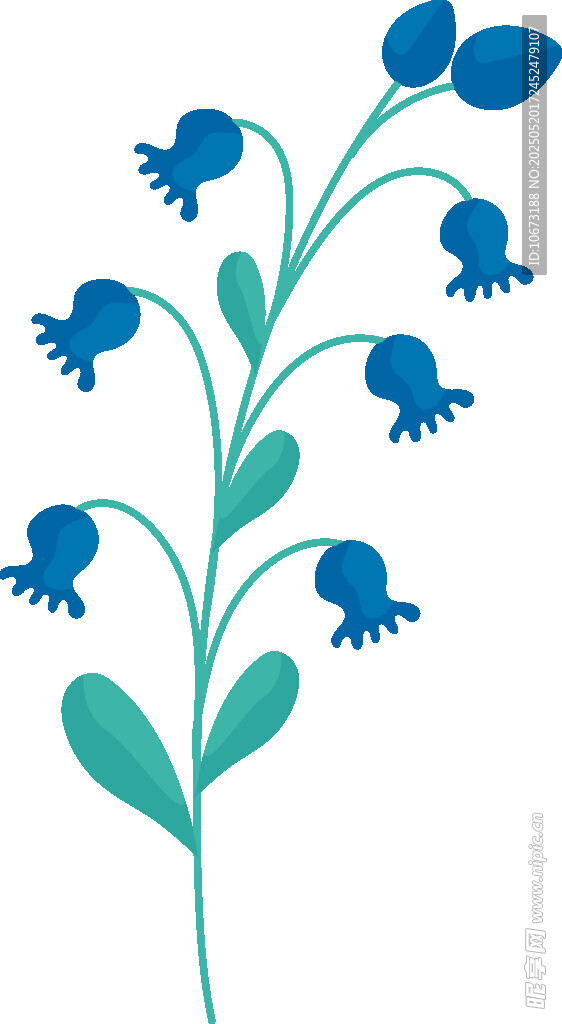 蓝色花朵植物插画