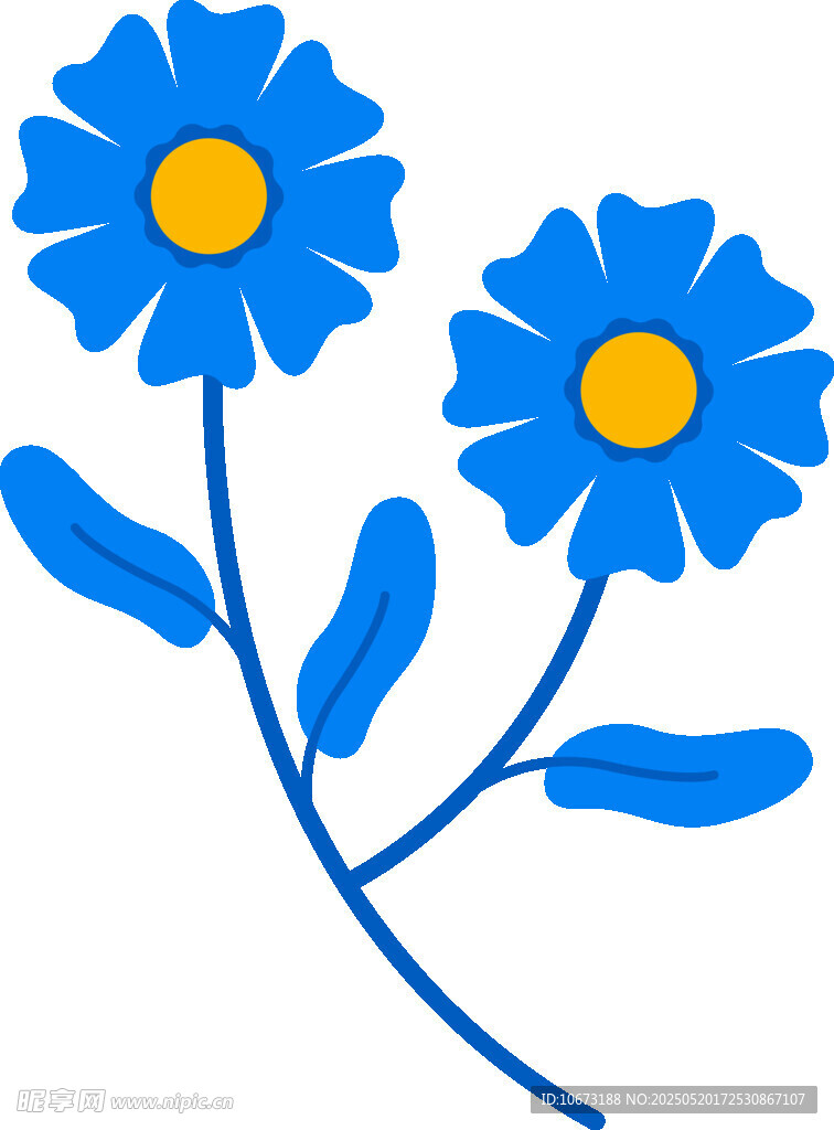 蓝色雏菊插画