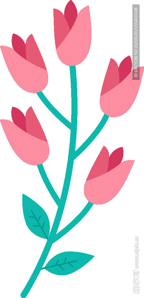粉色郁金香插画图案