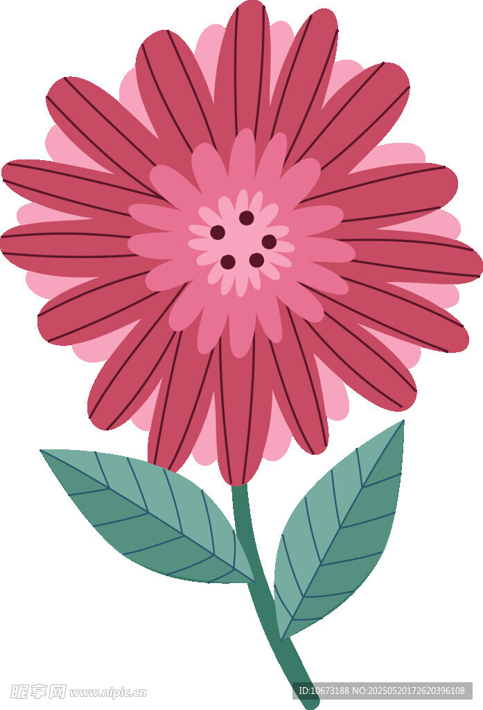 粉色花朵插画