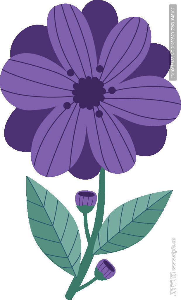 紫色花朵插画