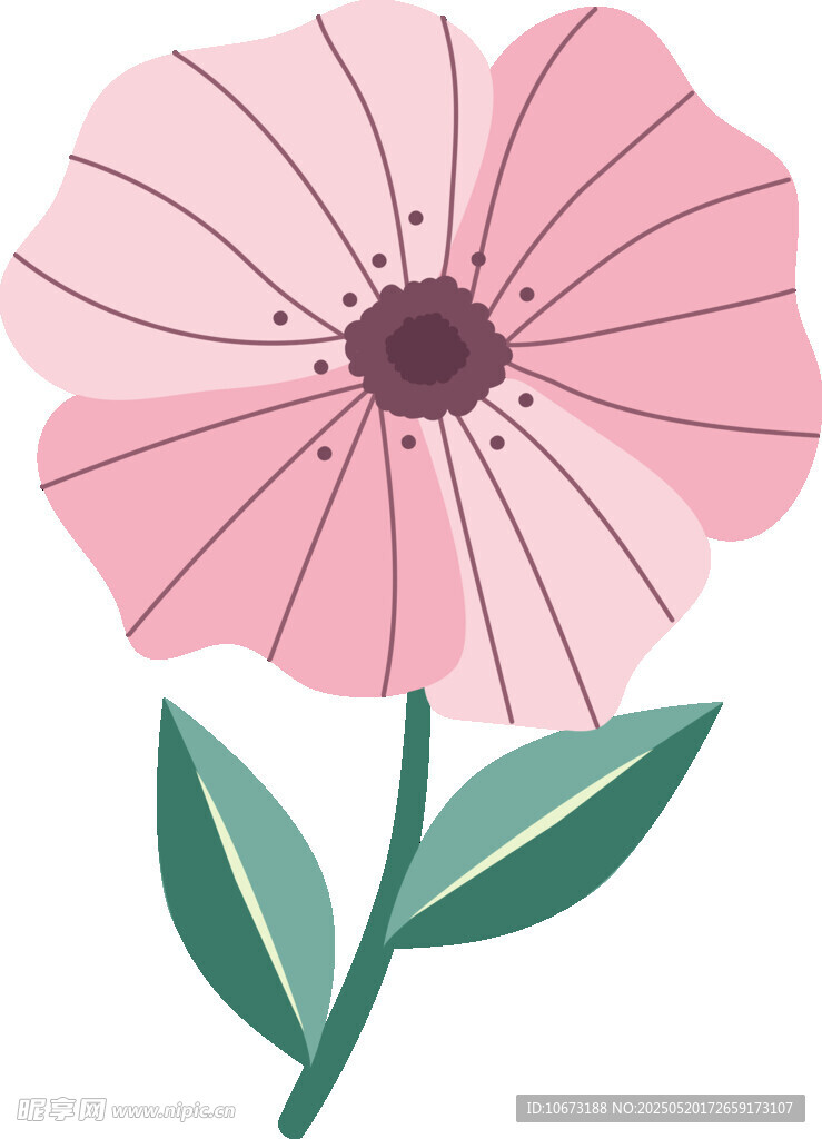 粉色花朵插画