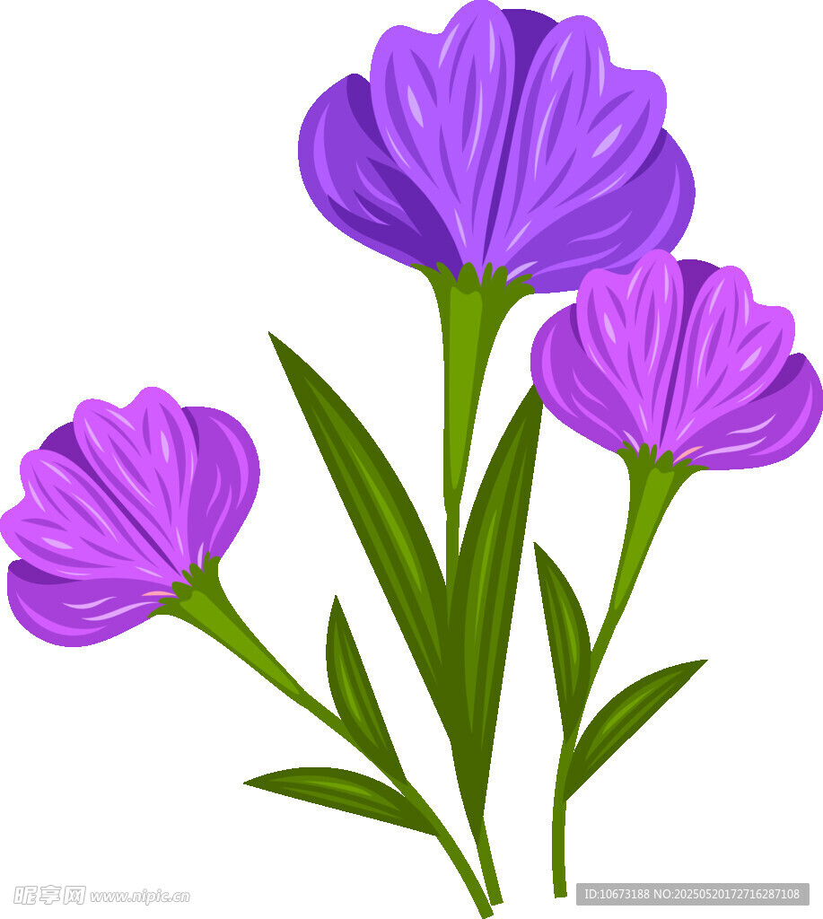 紫色花朵插画