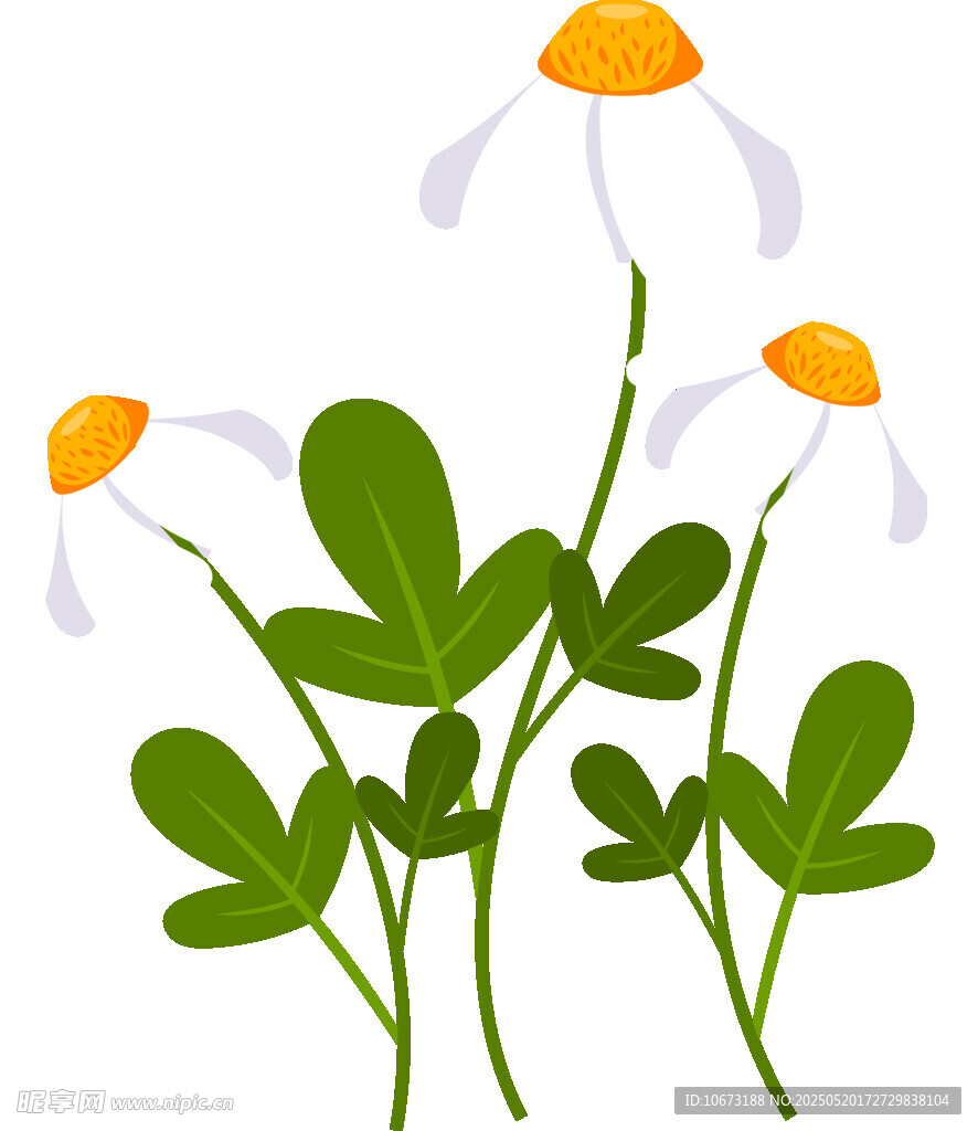 清新雏菊插画