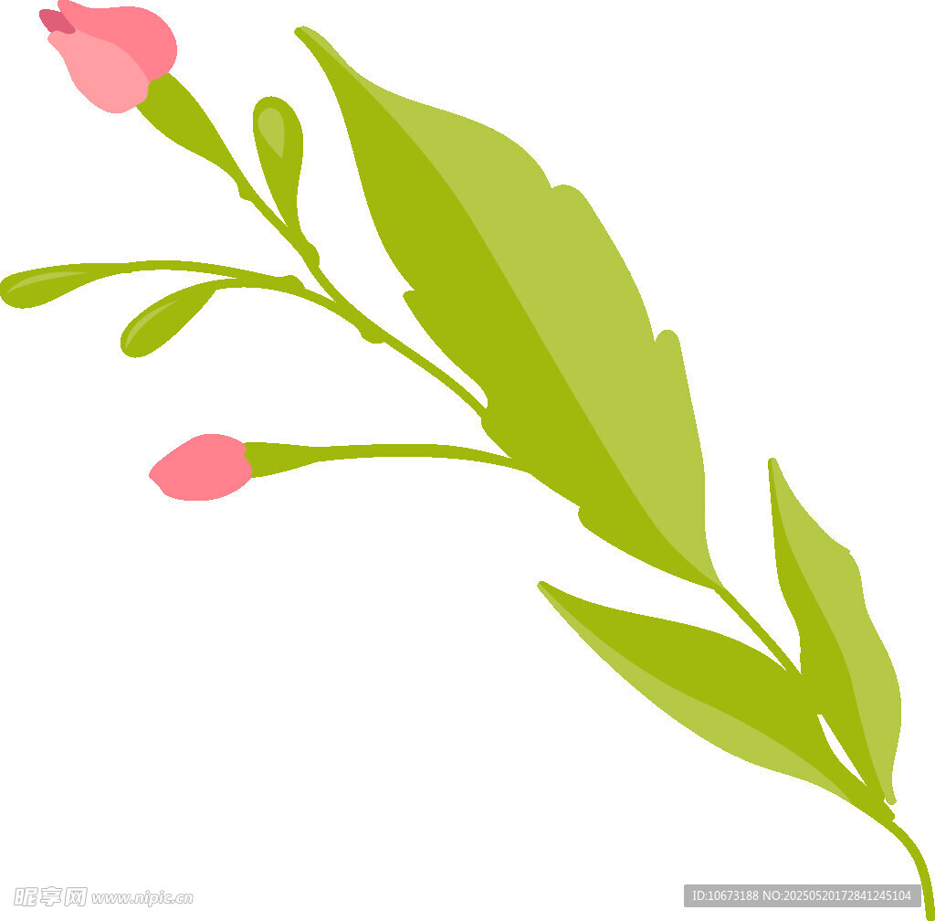 粉色花朵绿叶植物插画