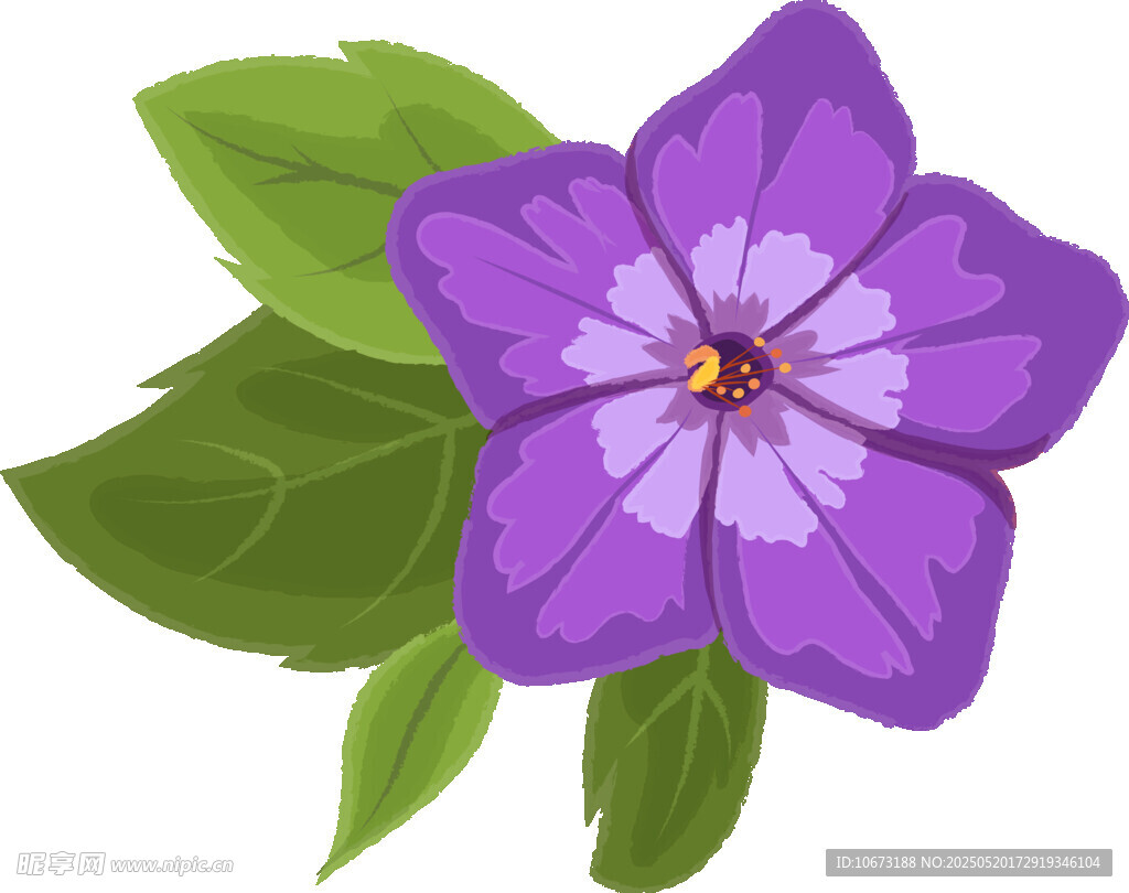 紫色花朵配绿叶插画