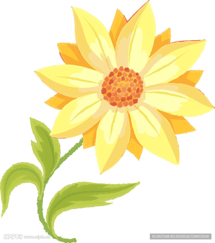 黄色花朵插画