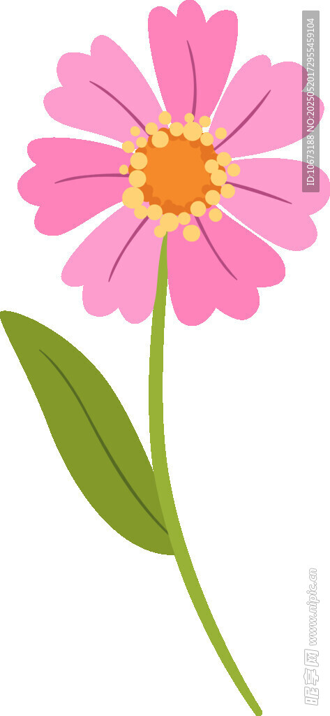 粉色单朵花插画