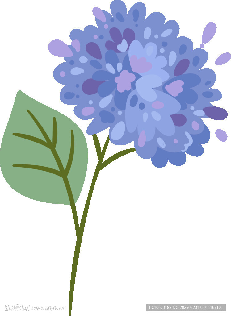 蓝色绣球花插画