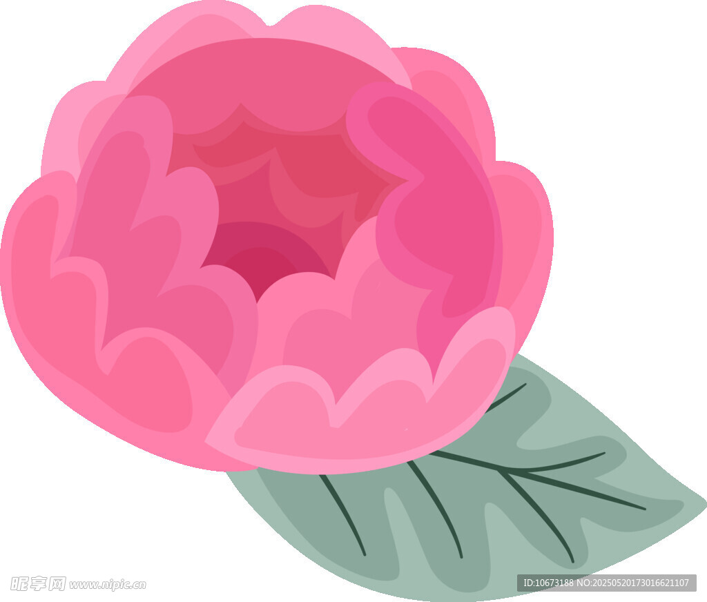 粉色花朵插画