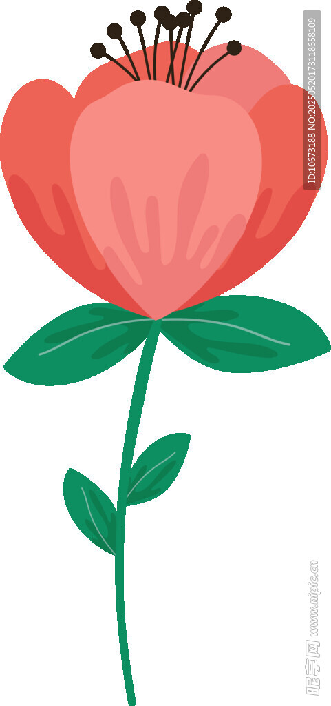 粉色花朵插画