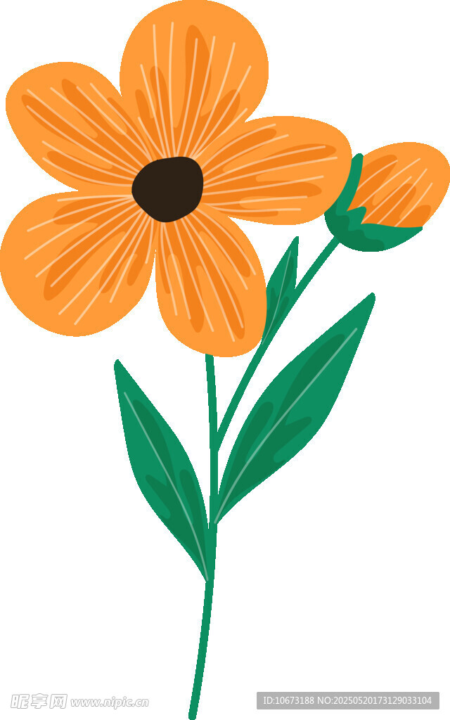 橙色小花插画