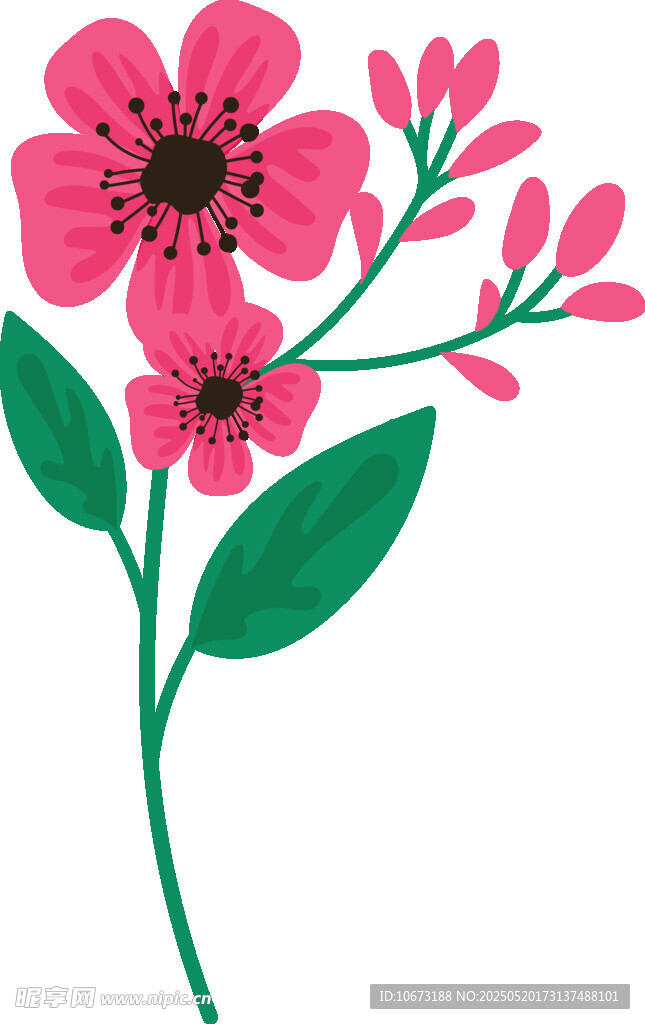粉色花朵插画