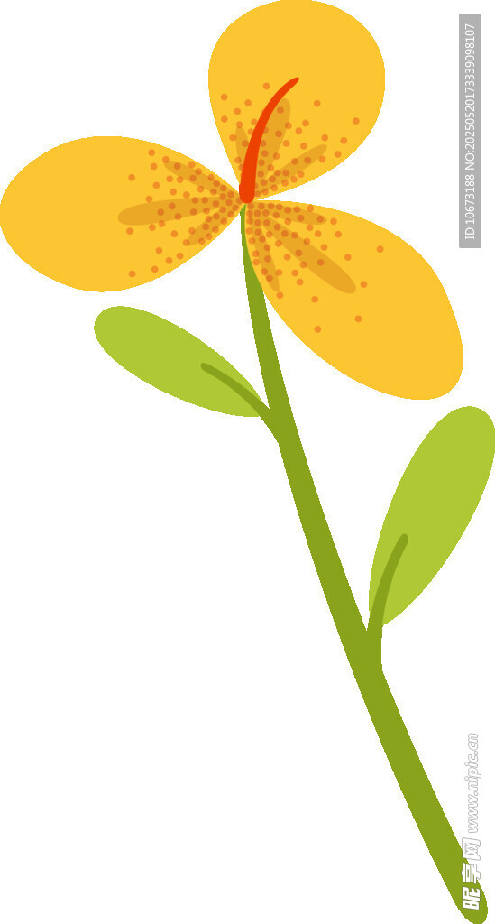 黄色花朵插画