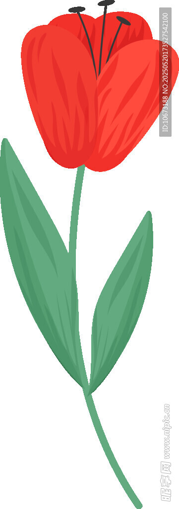 红色花朵插画